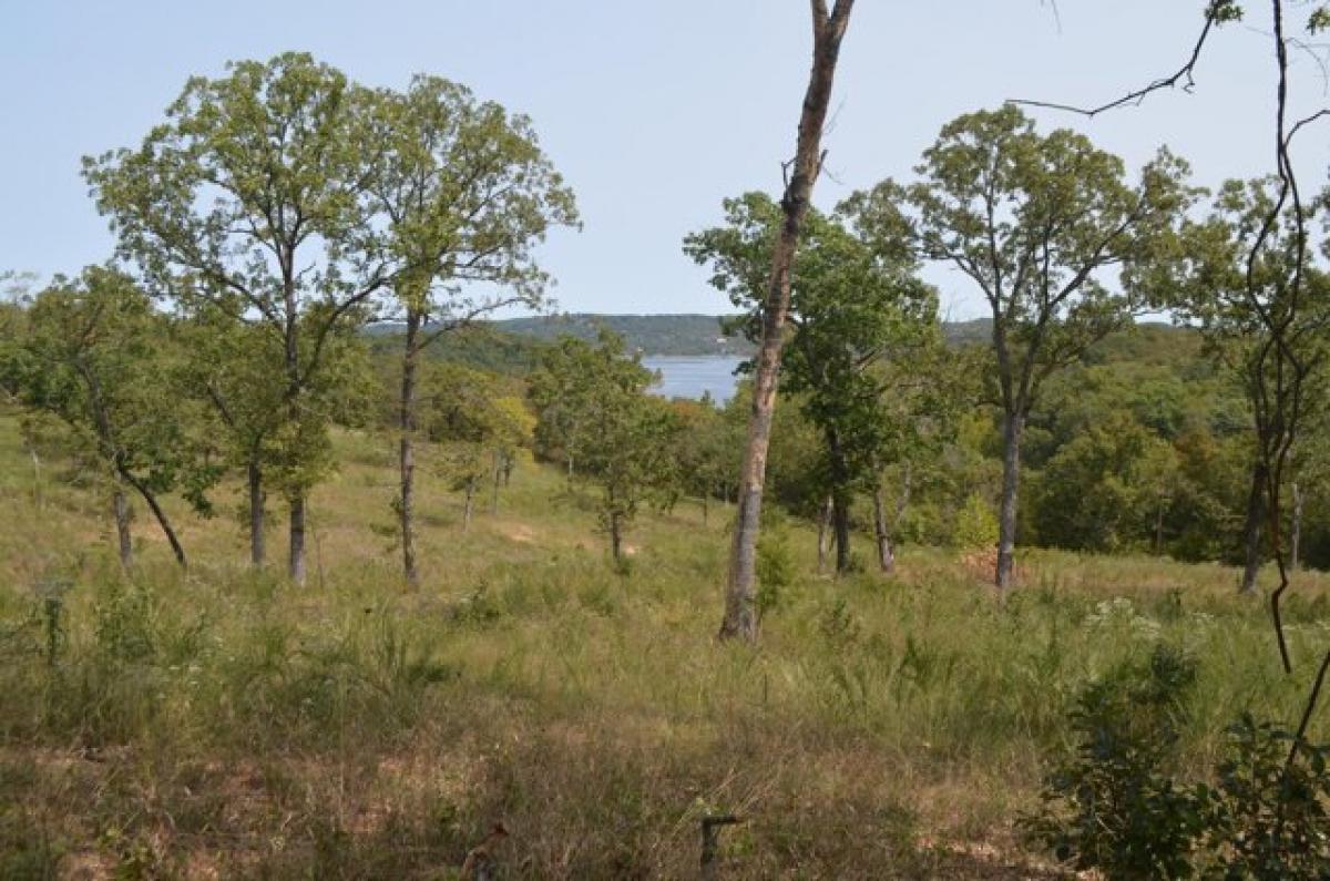 Picture of Residential Land For Sale in Lampe, Missouri, United States