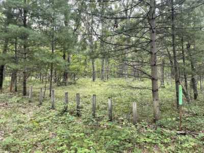 Residential Land For Sale in Irons, Michigan