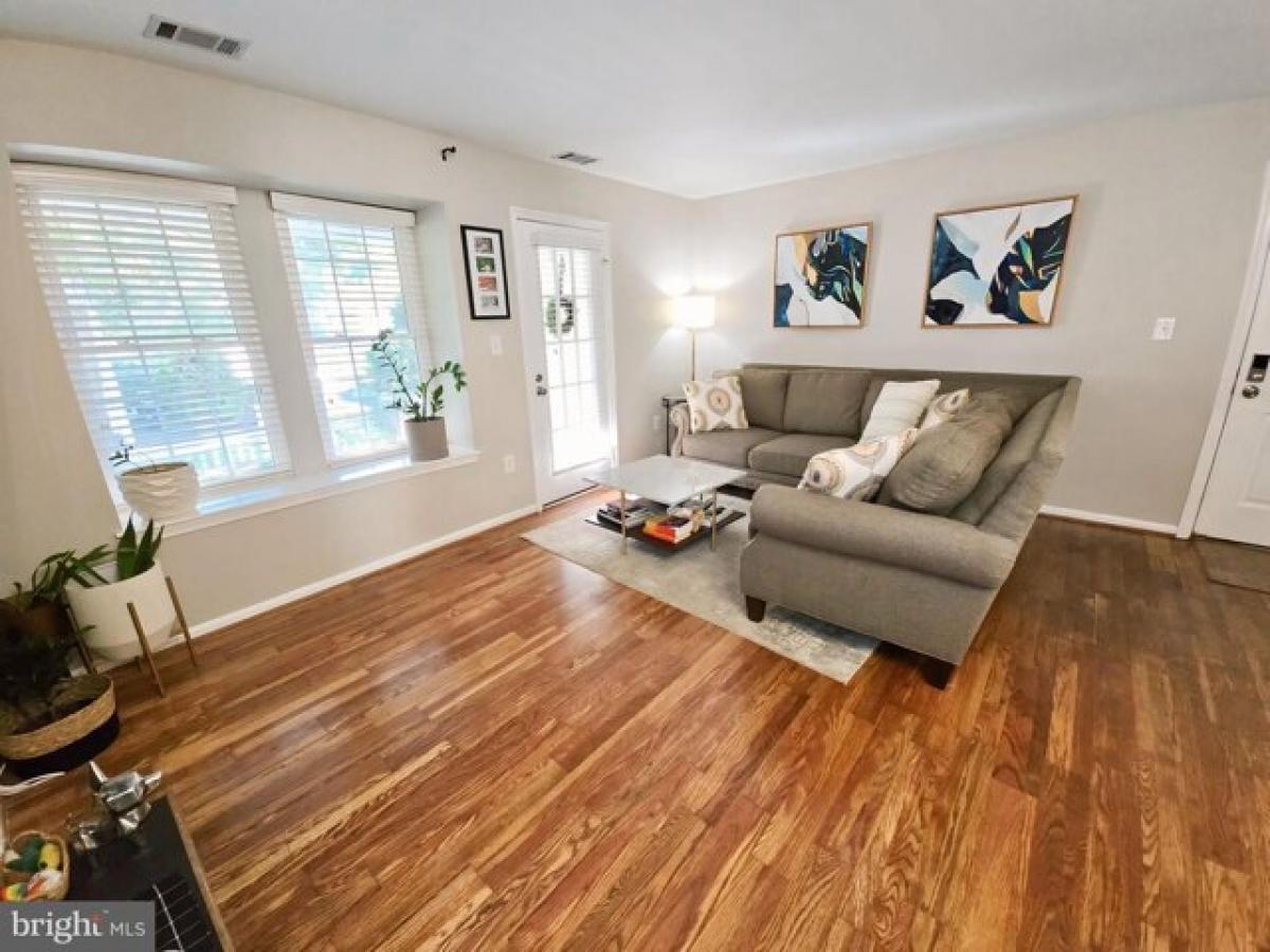 Picture of Apartment For Rent in Arlington, Virginia, United States