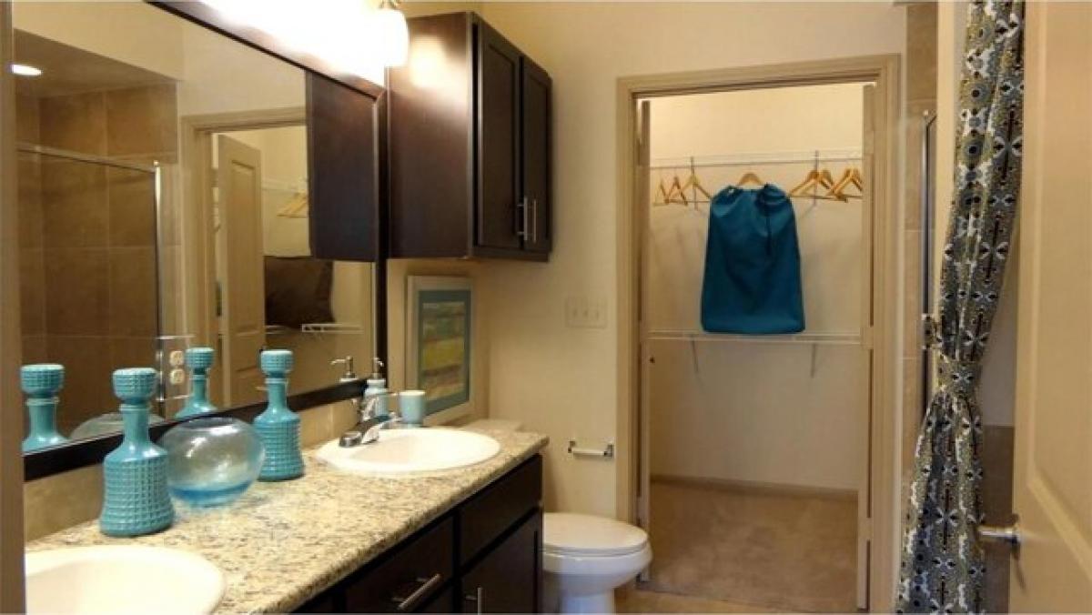 Picture of Apartment For Rent in Houston, Texas, United States