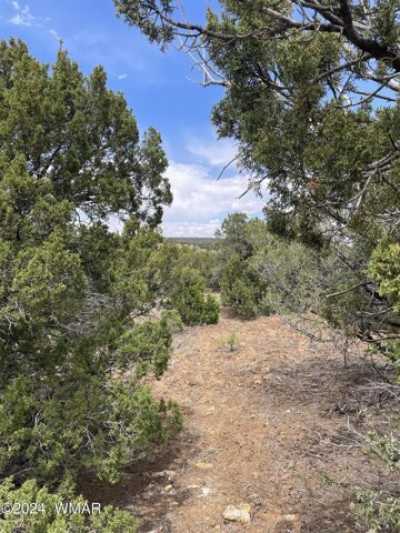 Residential Land For Sale in Concho, Arizona