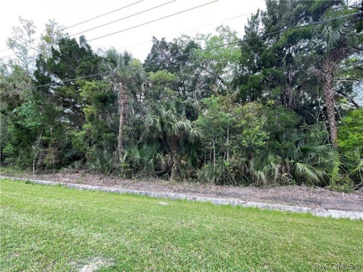 Picture of Residential Land For Sale in Crystal River, Florida, United States