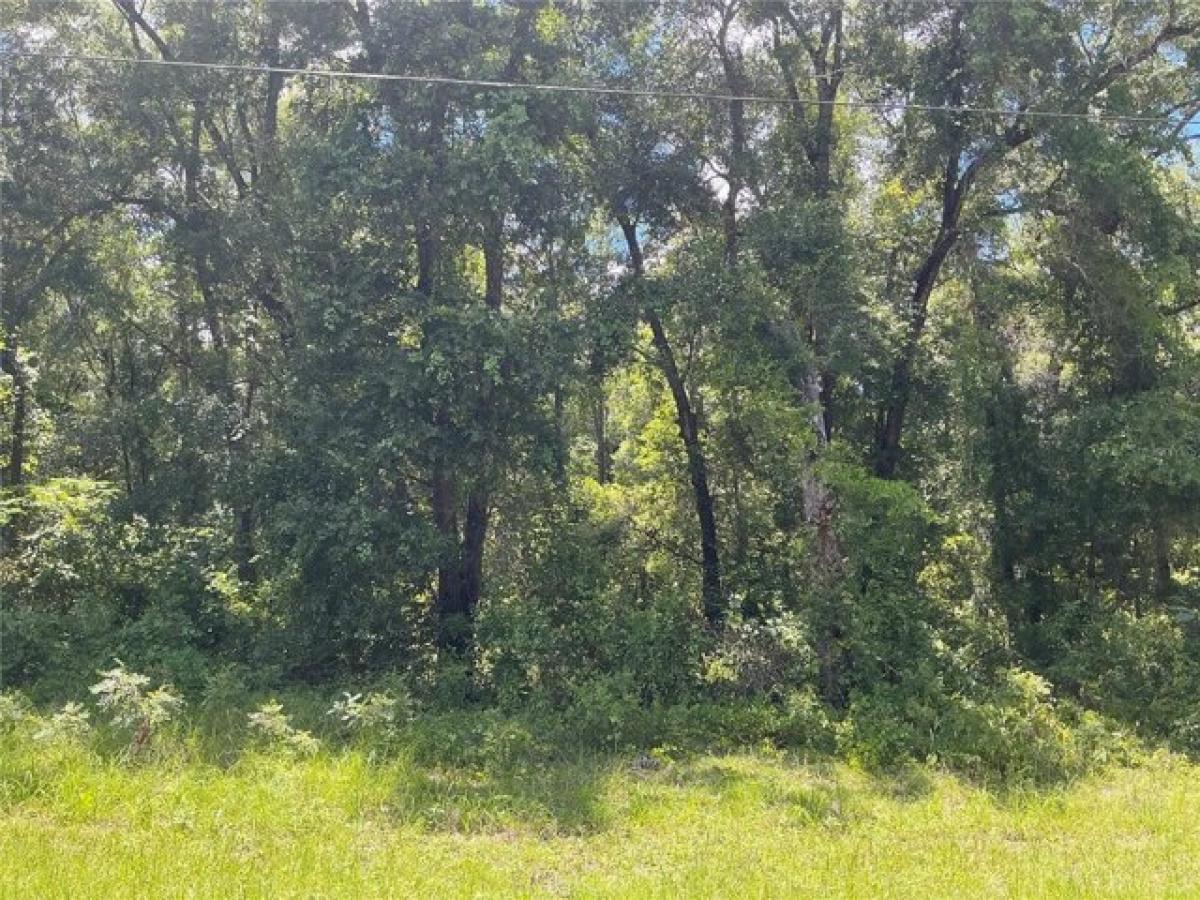 Picture of Residential Land For Sale in Inverness, Florida, United States