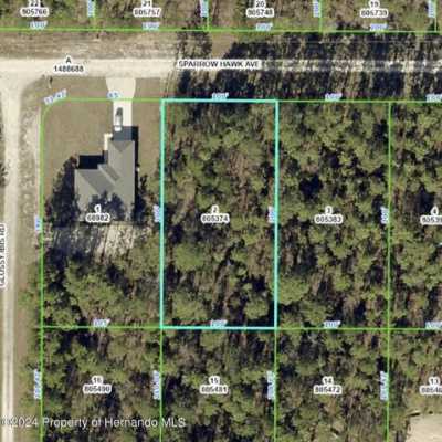 Residential Land For Sale in Weeki Wachee, Florida