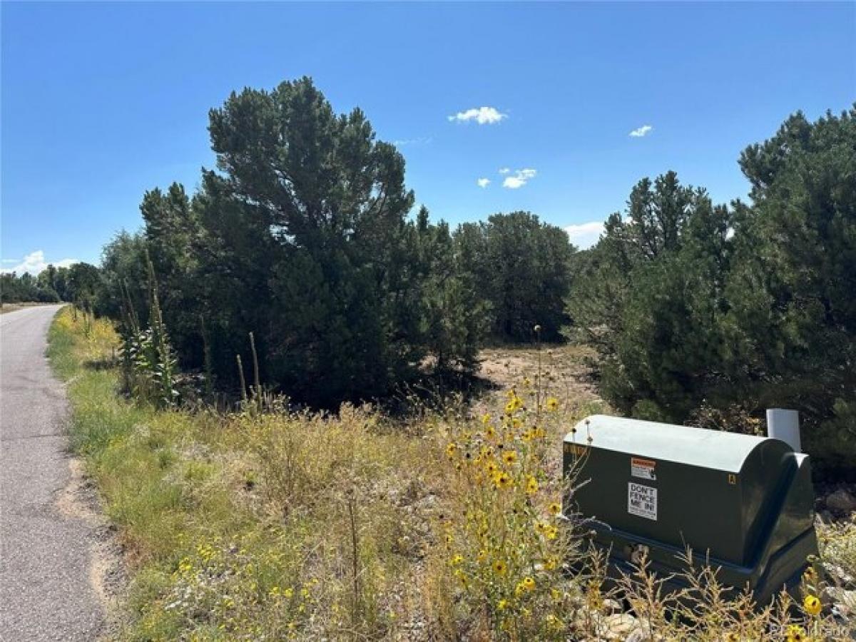 Picture of Residential Land For Sale in Crestone, Colorado, United States