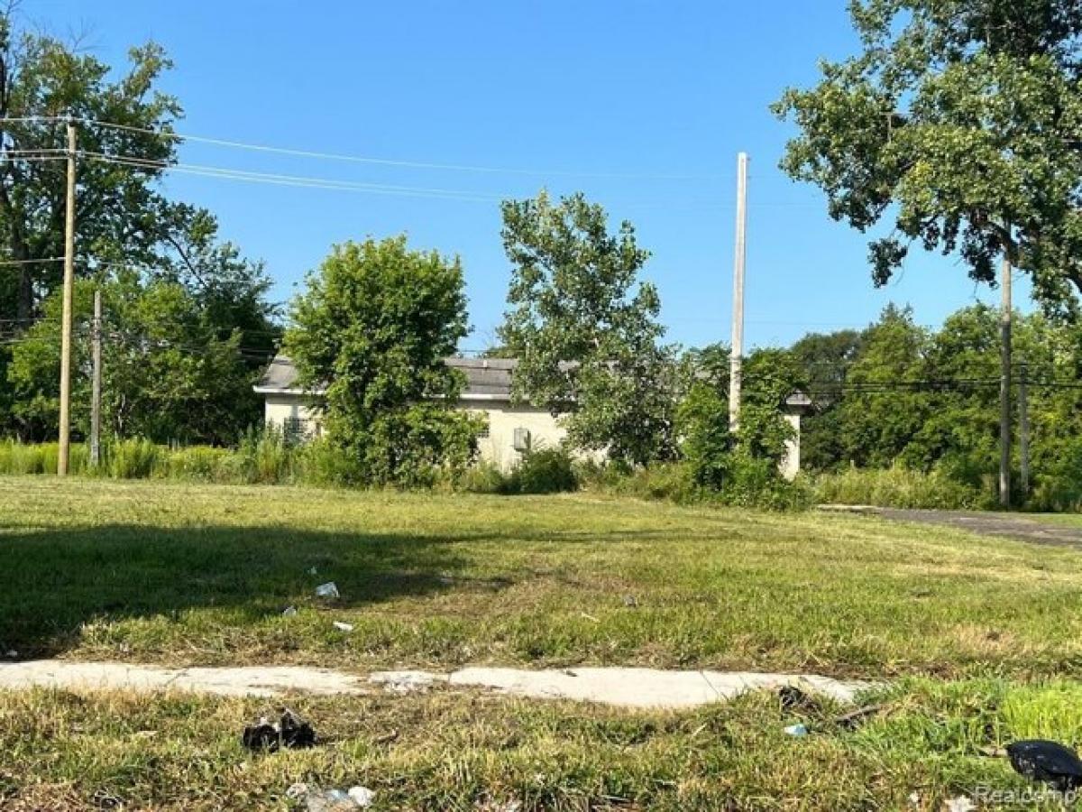 Picture of Residential Land For Sale in Detroit, Michigan, United States