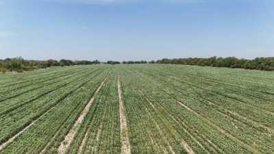 Residential Land For Sale in Erie, Kansas