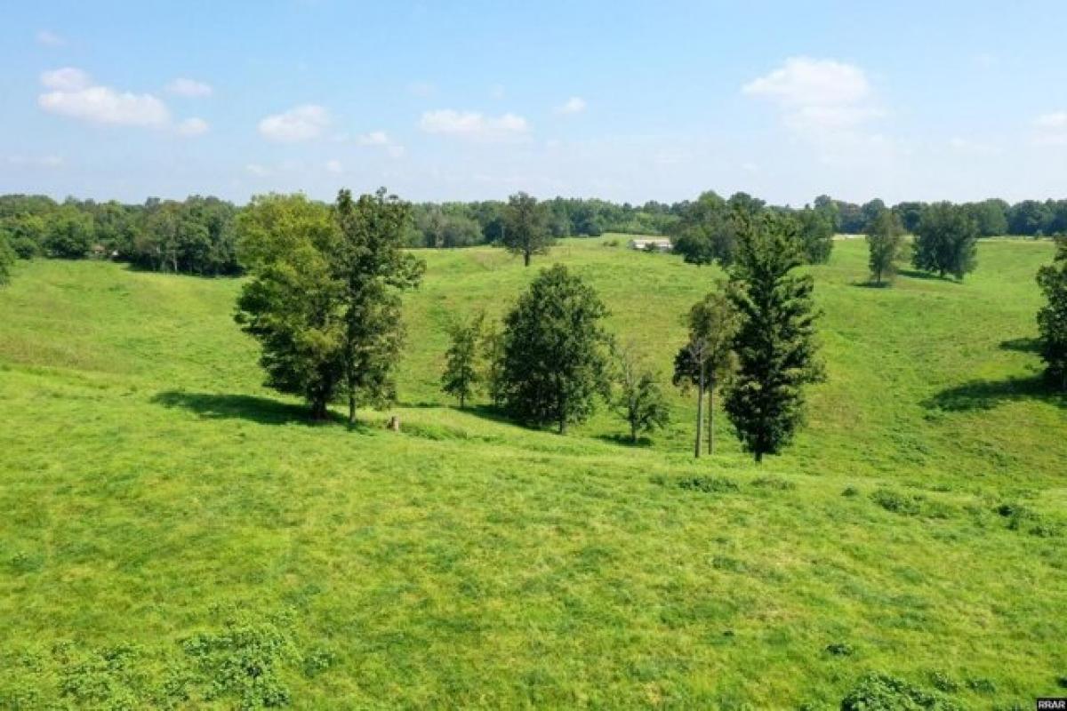 Picture of Residential Land For Sale in Hornbeak, Tennessee, United States