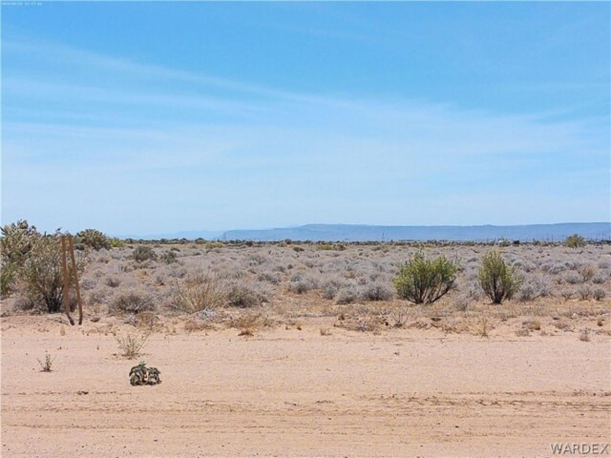 Picture of Residential Land For Sale in Golden Valley, Arizona, United States