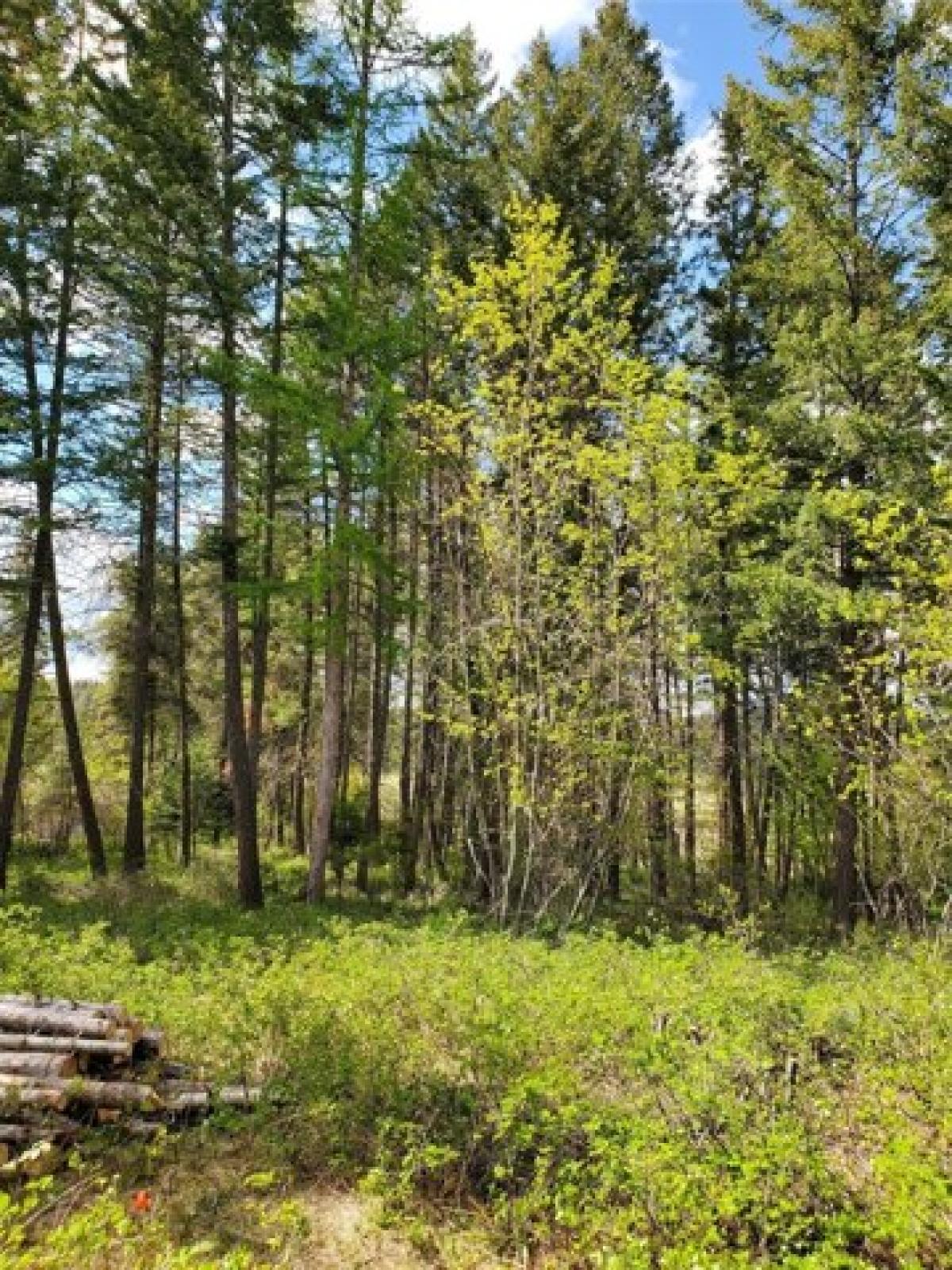 Picture of Residential Land For Sale in Bigfork, Montana, United States