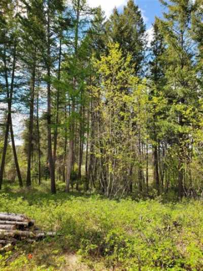 Residential Land For Sale in Bigfork, Montana