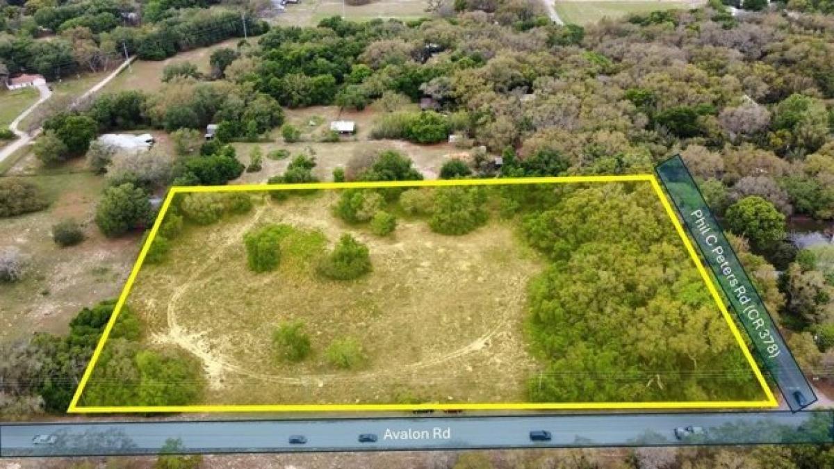 Picture of Residential Land For Sale in Winter Garden, Florida, United States