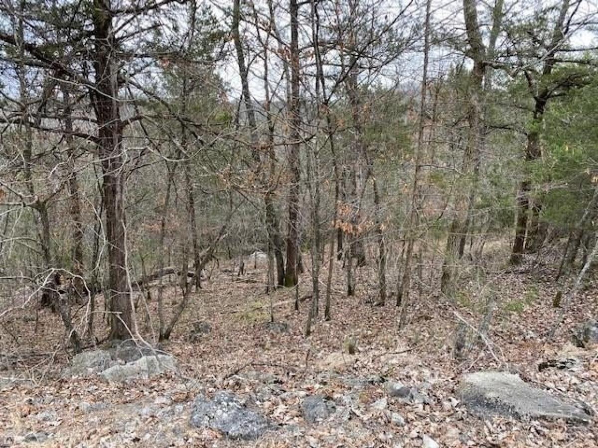 Picture of Residential Land For Sale in Holiday Island, Arkansas, United States