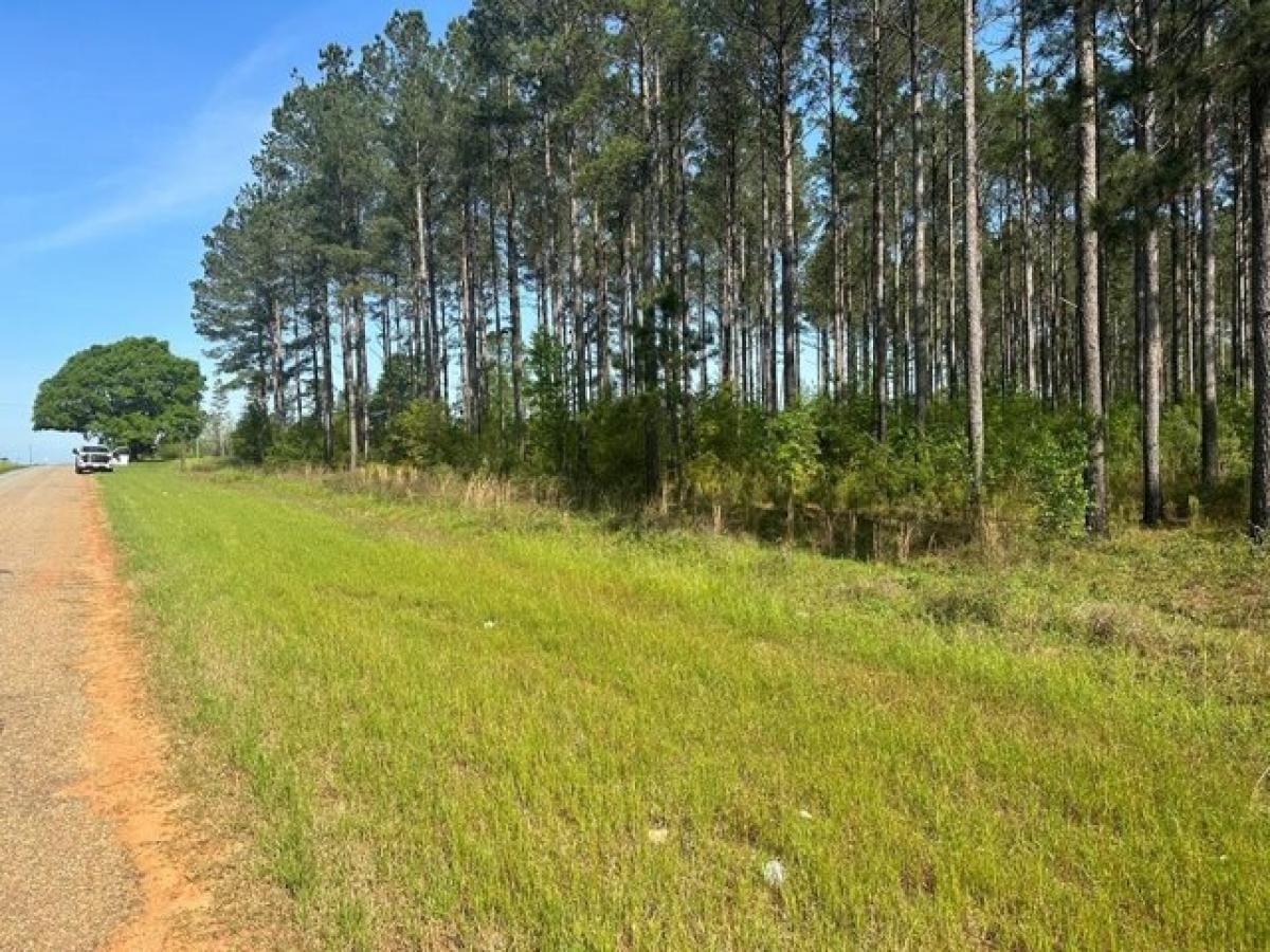 Picture of Residential Land For Sale in Hartford, Alabama, United States