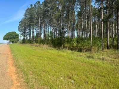 Residential Land For Sale in Hartford, Alabama