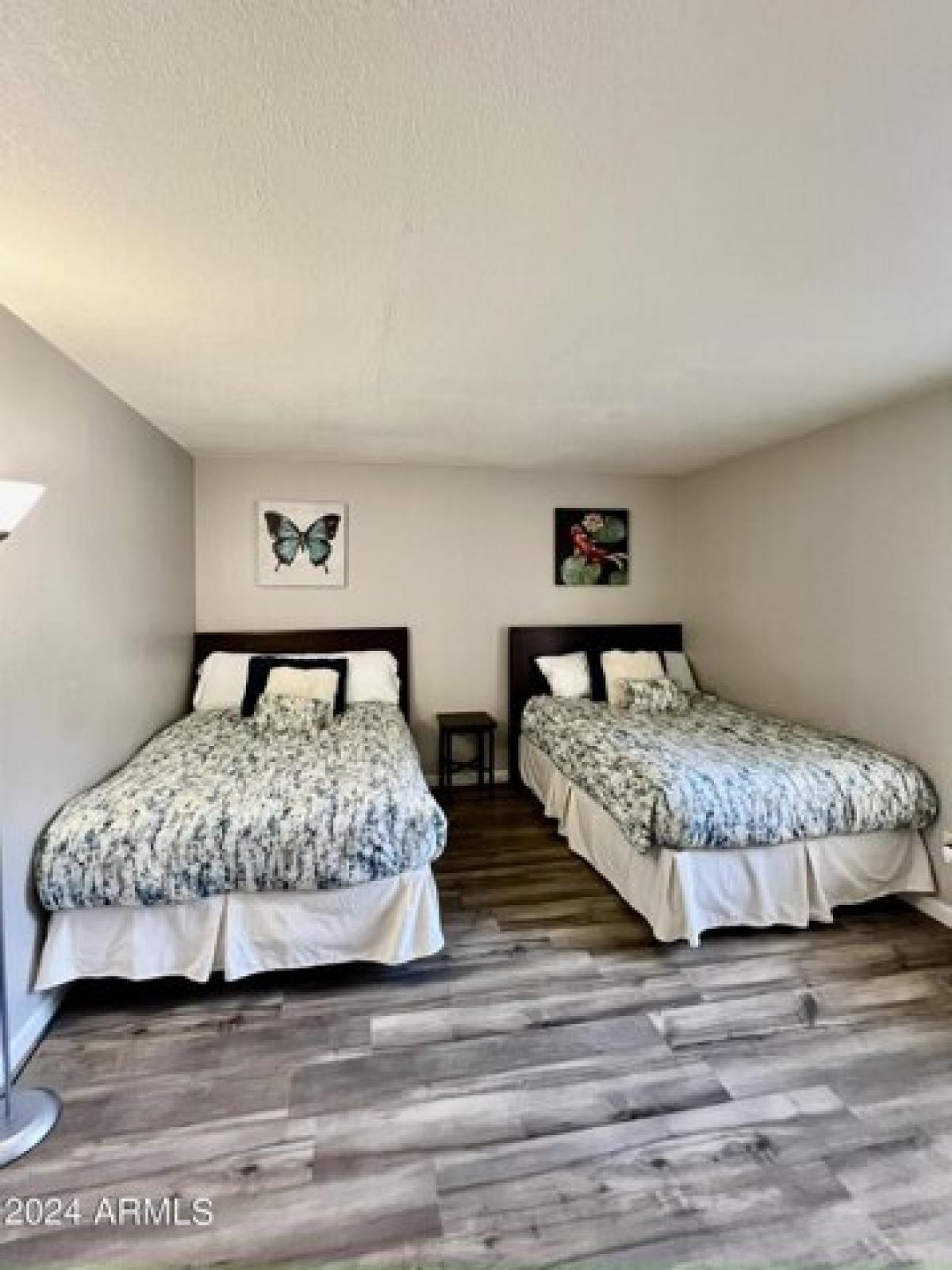 Picture of Apartment For Rent in Scottsdale, Arizona, United States