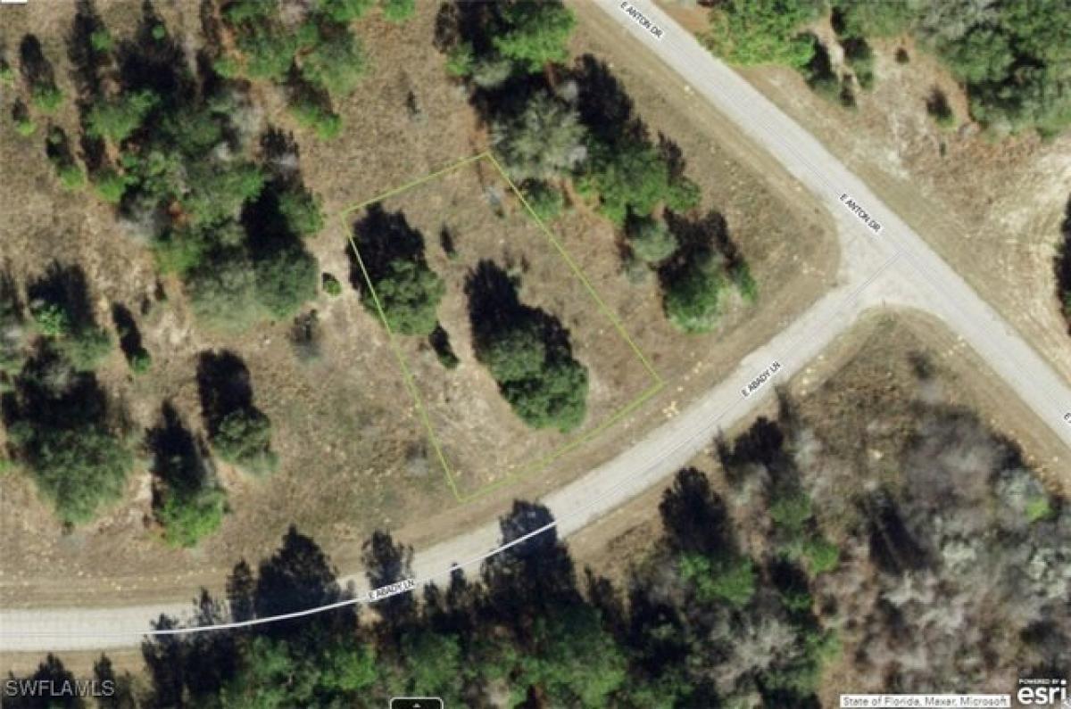 Picture of Residential Land For Sale in Citrus Springs, Florida, United States