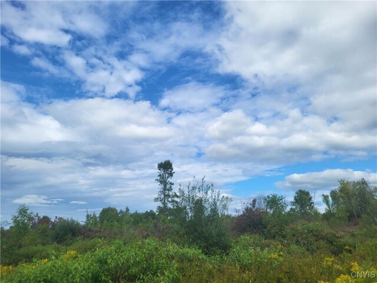 Picture of Residential Land For Sale in Hammond, New York, United States