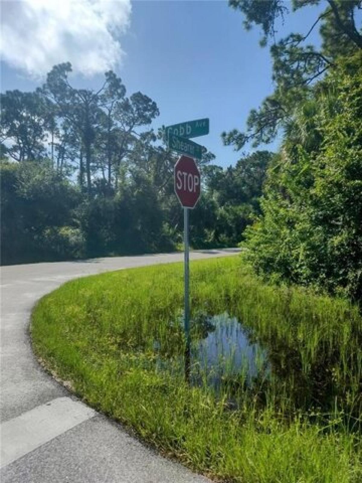 Picture of Residential Land For Sale in Port Charlotte, Florida, United States