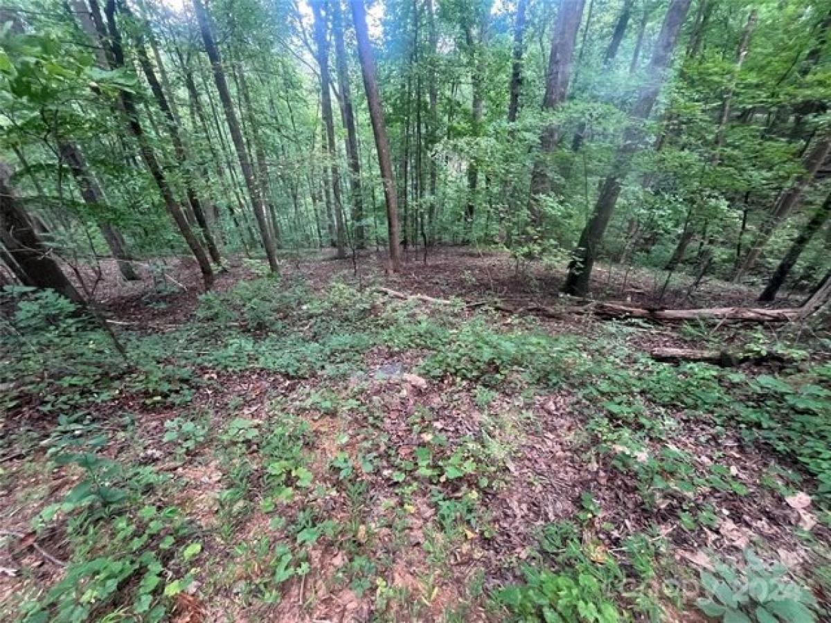 Picture of Residential Land For Sale in Lake Lure, North Carolina, United States