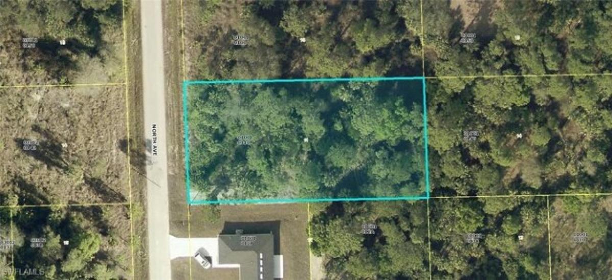 Picture of Residential Land For Sale in Lehigh Acres, Florida, United States