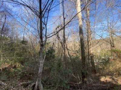 Residential Land For Sale in Blairsville, Georgia