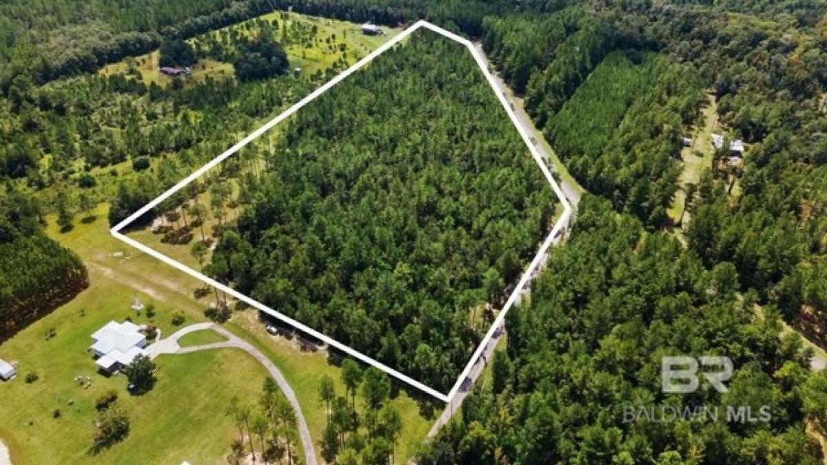 Picture of Residential Land For Sale in Robertsdale, Alabama, United States