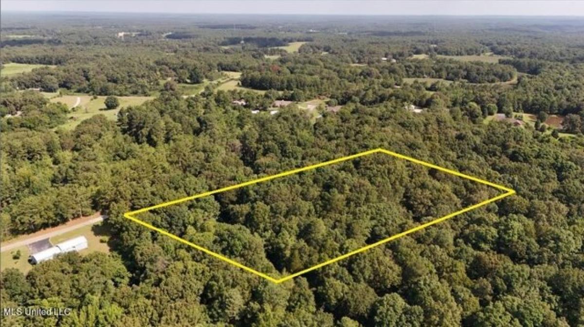 Picture of Residential Land For Sale in Holly Springs, Mississippi, United States