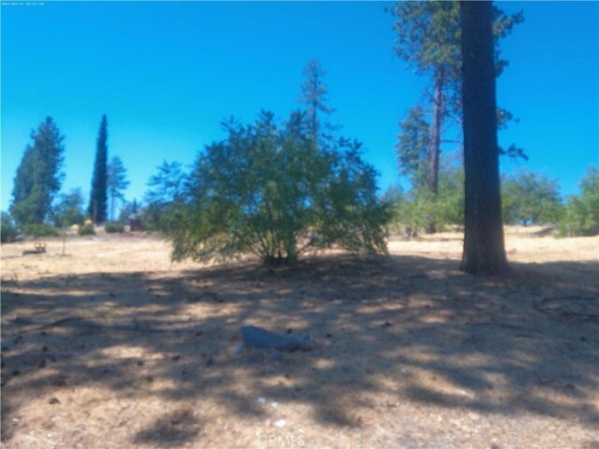 Picture of Residential Land For Sale in Paradise, California, United States