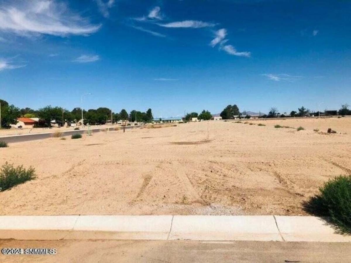 Picture of Residential Land For Sale in Las Cruces, New Mexico, United States