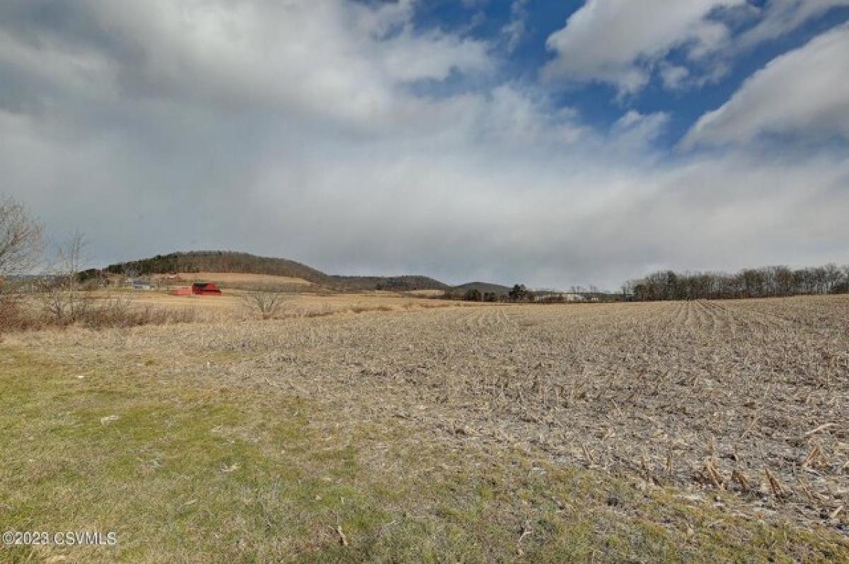 Picture of Residential Land For Sale in Muncy, Pennsylvania, United States