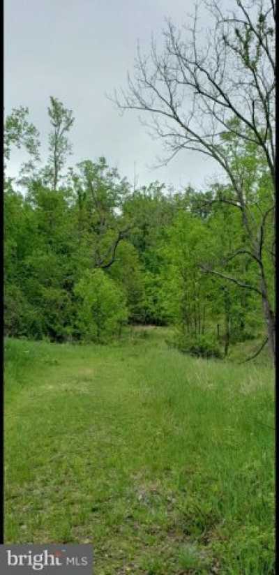 Residential Land For Sale in Paw Paw, West Virginia