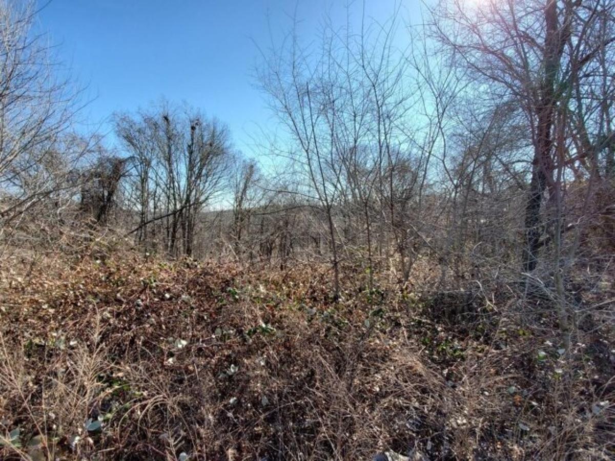 Picture of Residential Land For Sale in Branson West, Missouri, United States