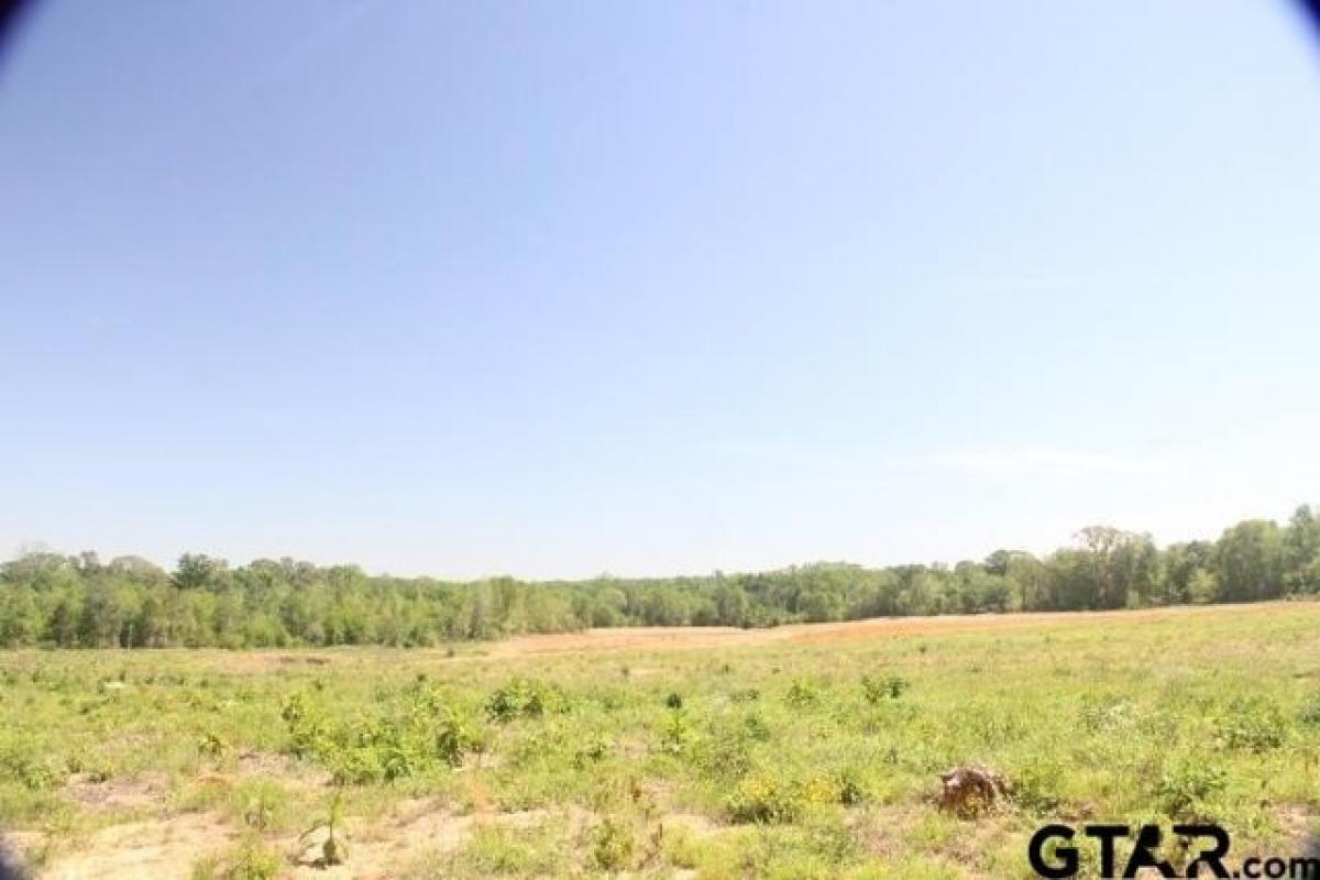 Picture of Residential Land For Sale in Flint, Texas, United States