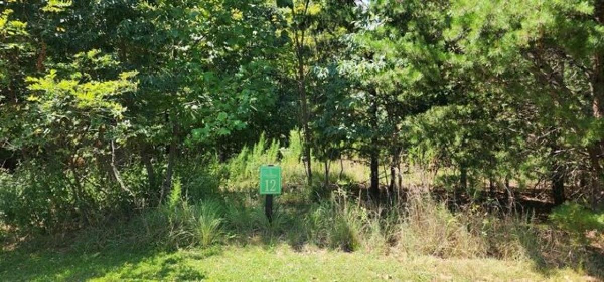 Picture of Residential Land For Sale in Murphy, North Carolina, United States