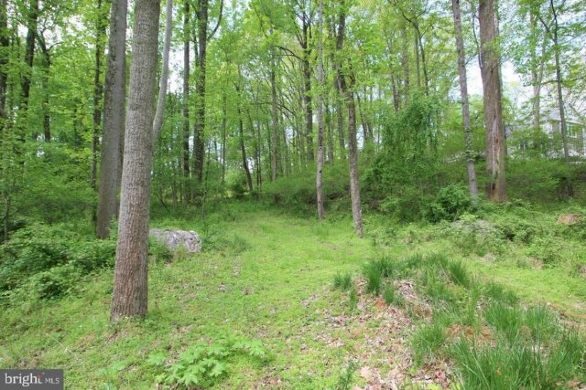 Picture of Residential Land For Sale in Potomac, Maryland, United States