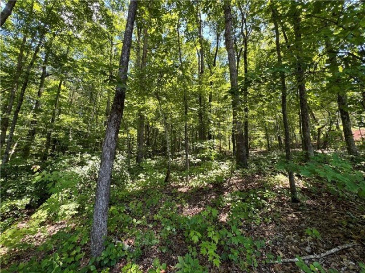 Picture of Residential Land For Sale in Pickens, South Carolina, United States