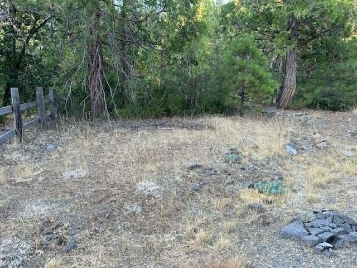 Picture of Residential Land For Sale in Cromberg, California, United States