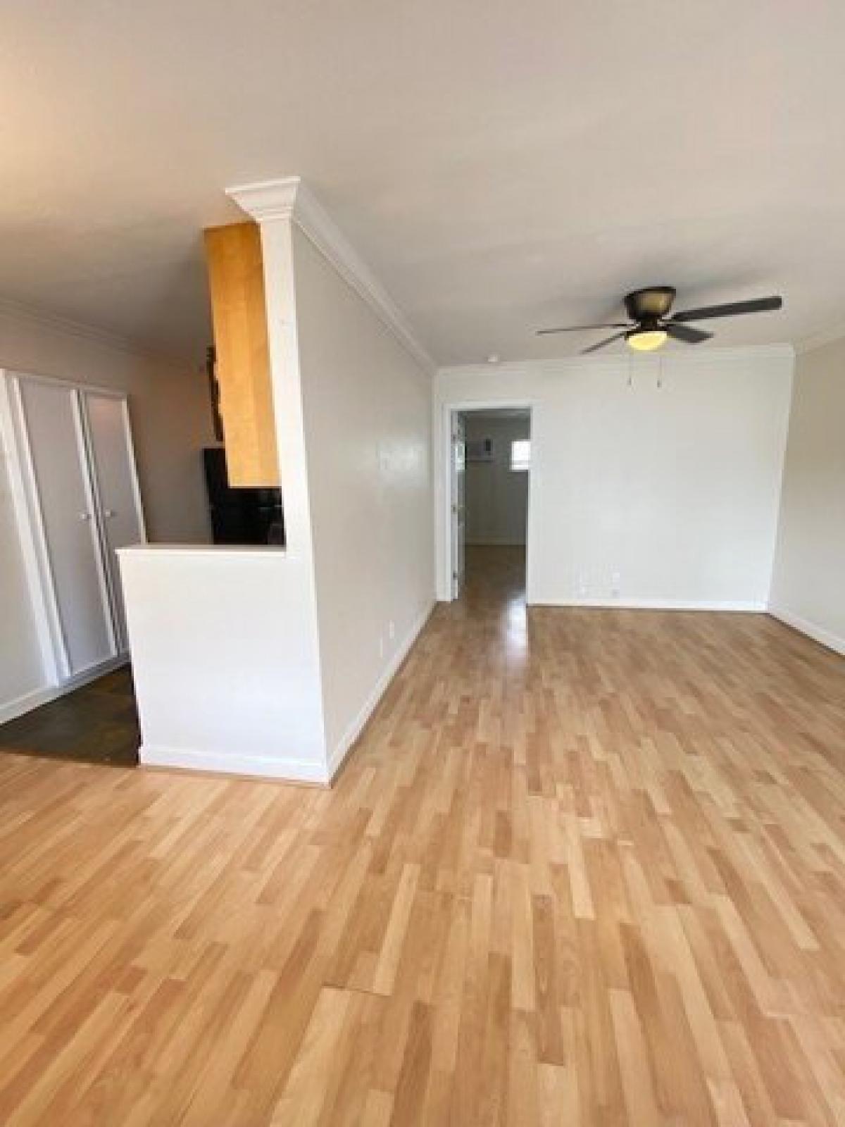 Picture of Apartment For Rent in Houston, Texas, United States