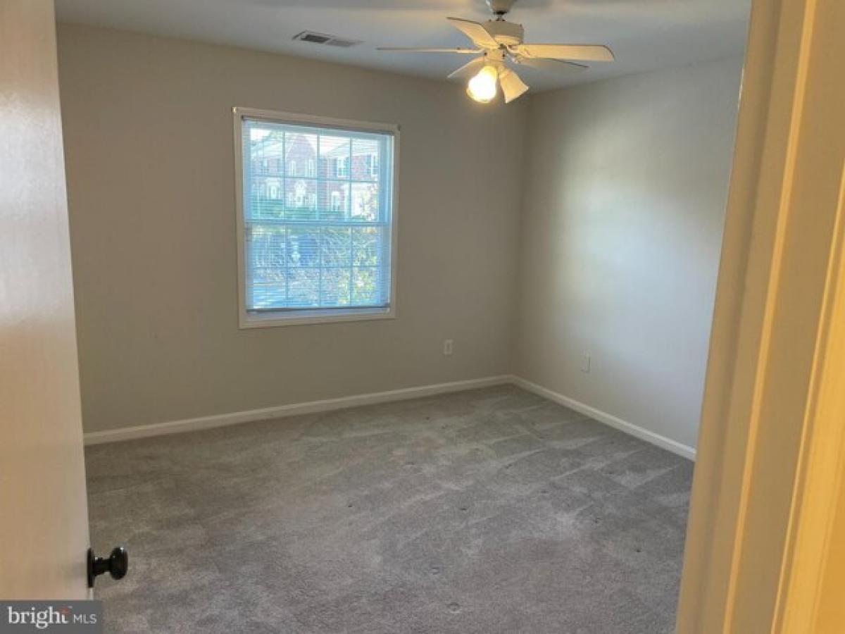 Picture of Apartment For Rent in Springfield, Virginia, United States