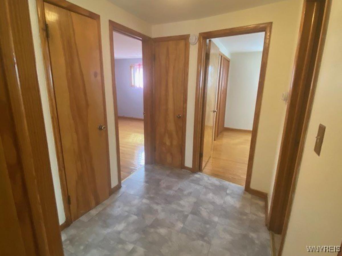 Picture of Apartment For Rent in Buffalo, New York, United States