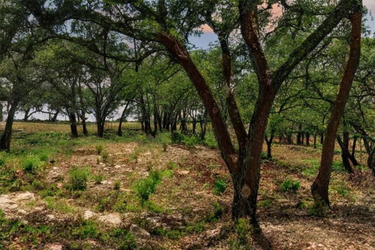 Picture of Residential Land For Sale in Johnson City, Texas, United States