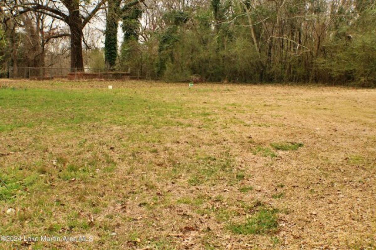 Picture of Residential Land For Sale in Dadeville, Alabama, United States