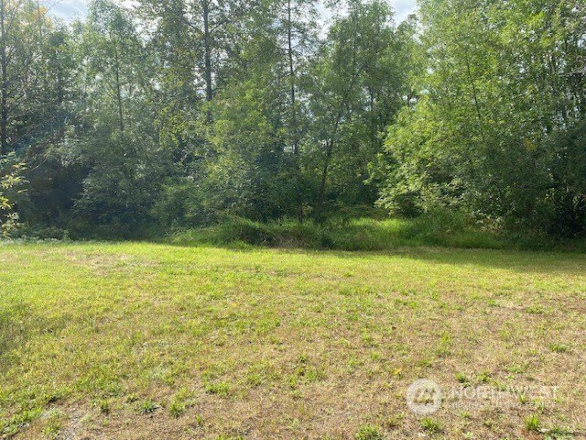 Picture of Residential Land For Sale in Yelm, Washington, United States