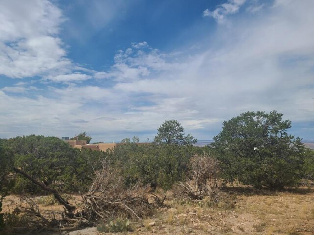 Picture of Residential Land For Sale in Placitas, New Mexico, United States