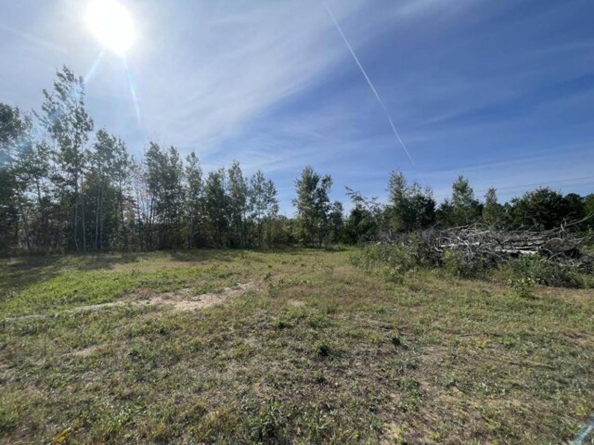 Picture of Residential Land For Sale in Gaylord, Michigan, United States