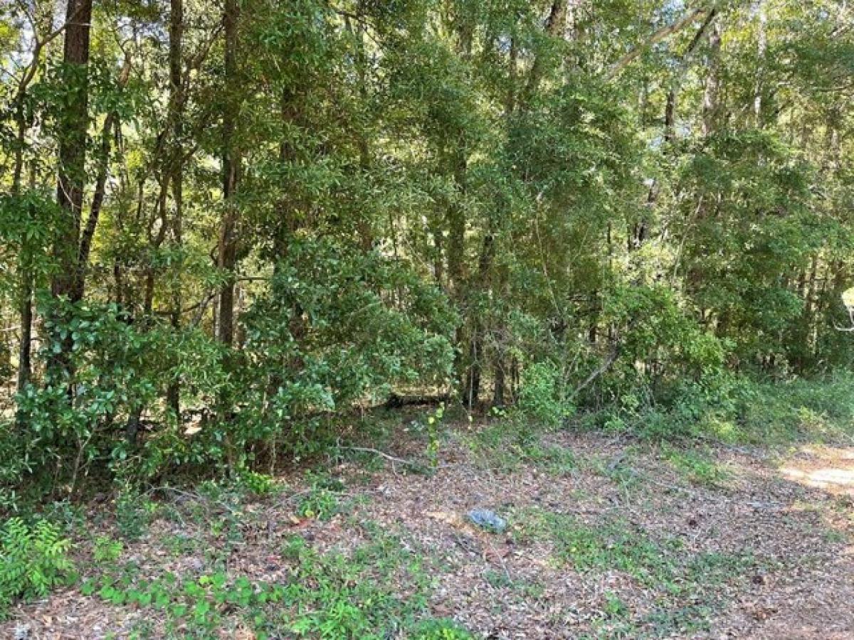 Picture of Residential Land For Sale in Orangeburg, South Carolina, United States