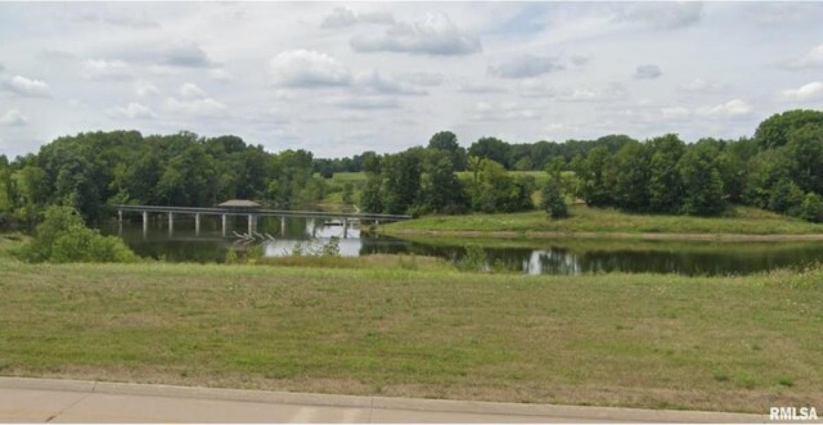 Picture of Residential Land For Sale in Milan, Illinois, United States