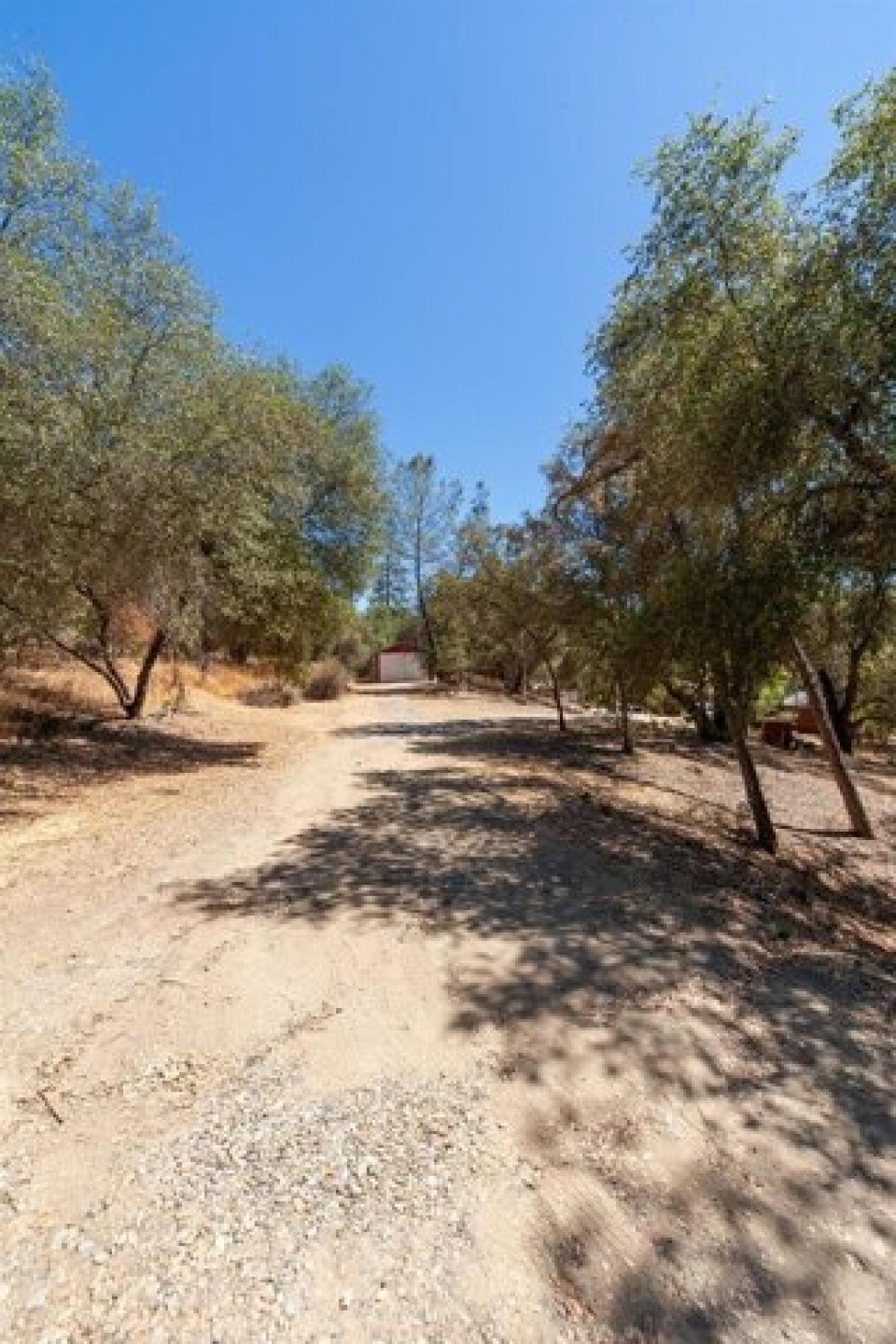 Picture of Home For Sale in Placerville, California, United States