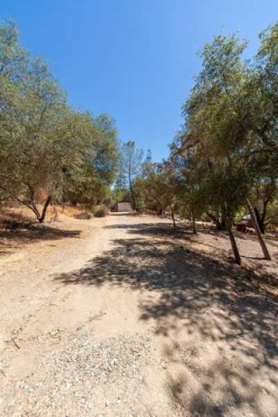 Home For Sale in Placerville, California